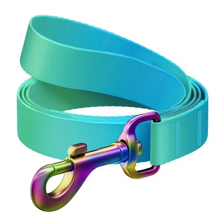 WAUDOG gradient nylon dog leash, 15mm wide, 122cm long, blue